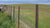 Top 5 Factors to Consider When Choosing Stake Pullers